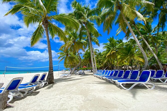 Saona Private Tour with Own Guide and Transport from Punta Cana - What the $460 price means in practical terms