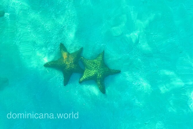 Saona Private Tour with Own Guide and Transport from Punta Cana - Guide service and the private pace
