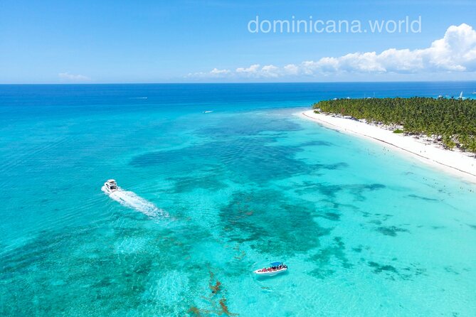 Saona Private Tour with Own Guide and Transport from Punta Cana - Timing, comfort, and what to bring