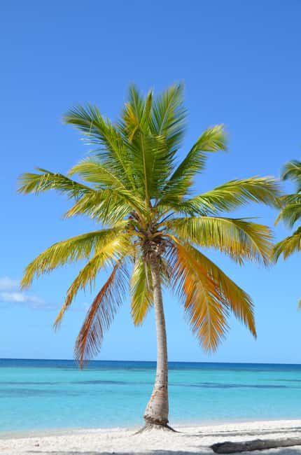 Saona Special Tour: Four Beaches & Canto Experience - Canto de la Playa after the crowds move on