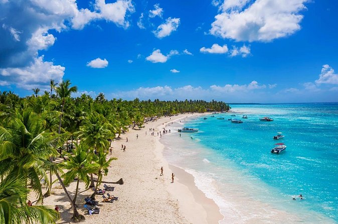 Saône Deluxe Platinum Island - What the $109 price really covers
