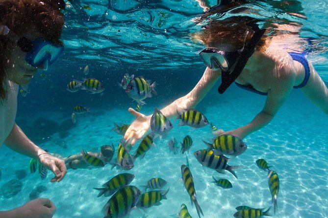 Scape Park Sunshine Cruise at Cap Cana - The 30-minute coral reef stop