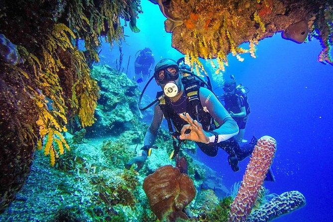 Scuba Diving at Catalina Island - 2 tank | 2 spots - Two Catalina Island sites, two different underwater moods