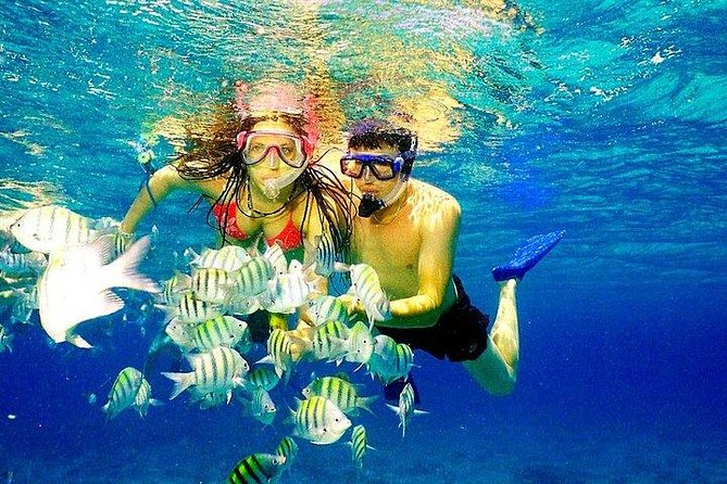 Scuba Diving at Catalina Island - 2 tank | 2 spots - The road transfer can be the weakest link