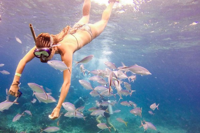 Scuba Diving at Catalina Island - 2 tank | 2 spots - Equipment, certification, and physical demands