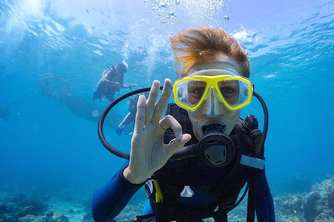 Scuba Diving at Catalina Island - 2 tank - for Certified Divers - Two Catalina Island sites, two very different underwater experiences