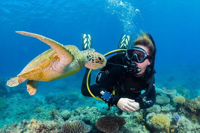 Scuba Diving on Catalina Island | 2 tanks, 2 spots - Catalina Island in one long Caribbean day