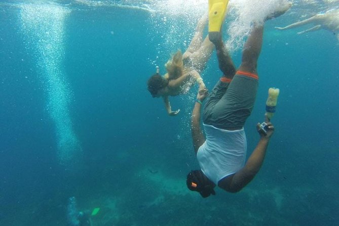 Scuba Diving on Catalina Island | 2 tanks, 2 spots - Should you book it?