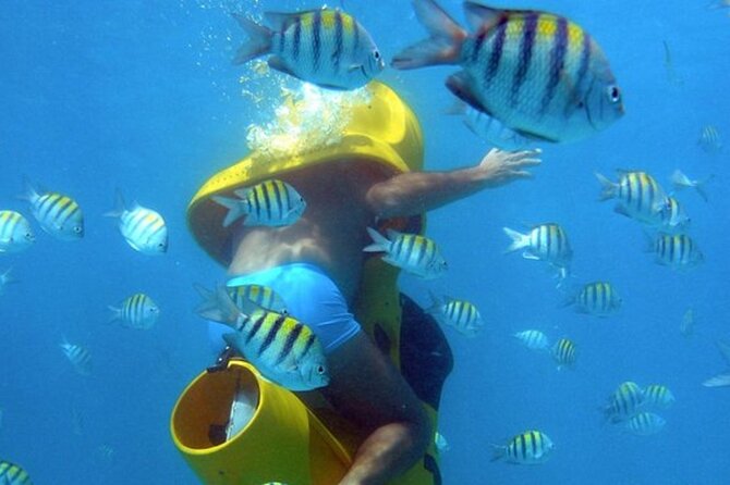 Scuba Doo Diving Scooters in Punta Cana - Key points to know before booking