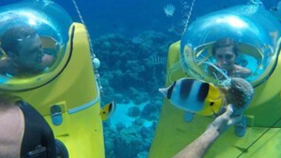 Scuba Doo - Diving Scooters in Punta Cana - Is $55 a fair price?