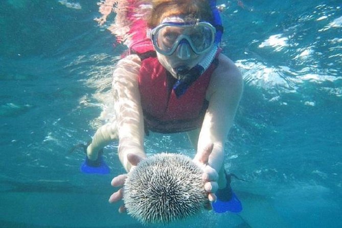 Scuba Doo Underwater Scooter in Punta Cana (Half Day) - The helmet that makes underwater exploring easy