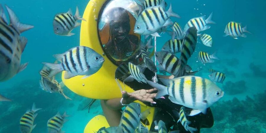 Scubadoo Punta Cana Diving Adventure - What this Punta Cana ocean trip actually offers