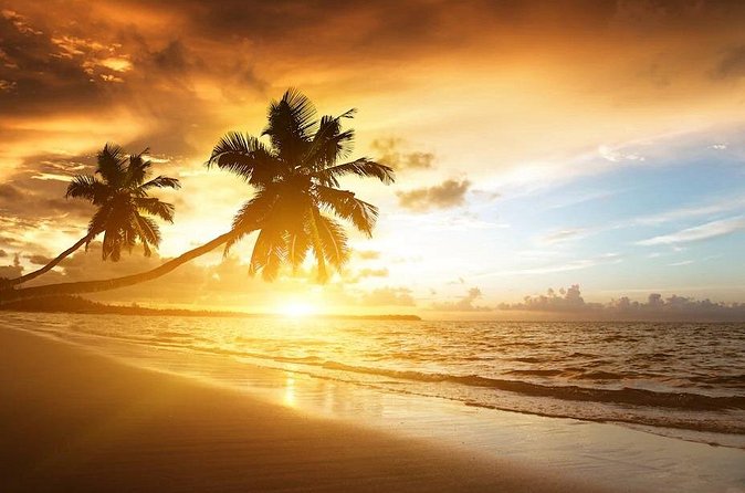 Secrets Royal Beach - Round Trip Shuttle - Punta Cana Airport - What happens on the return to the airport