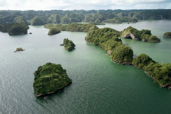 Shared 10-12 Hours Tour in Los Haitises National Park - Loma del 4 and the park setting