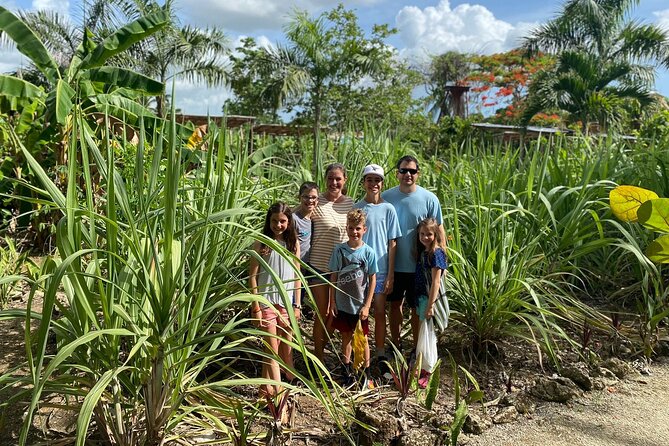 Shared Half-Day Tour in Punta Cana with Local Guide - Rancho Cocory and a real family home