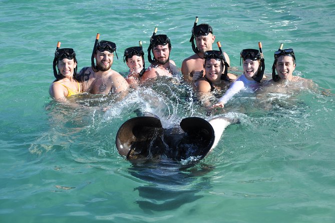 Sharks & Stingrays Encounter and Small Boat Ride from Punta Cana - Who will enjoy this excursion most?