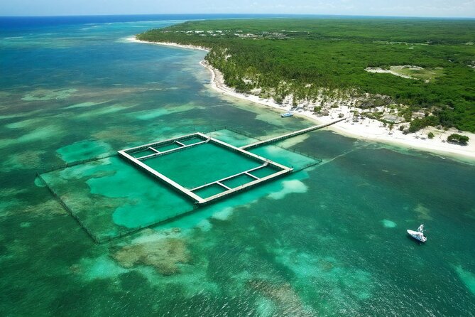 Sharks & Stingrays Snorkeling in Punta Cana with Parasailing - How much value do you get for $169?
