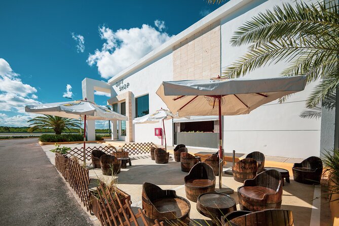 Shopping Tour in Punta Cana with Round Trip Transportation - Who will enjoy this Punta Cana shopping stop
