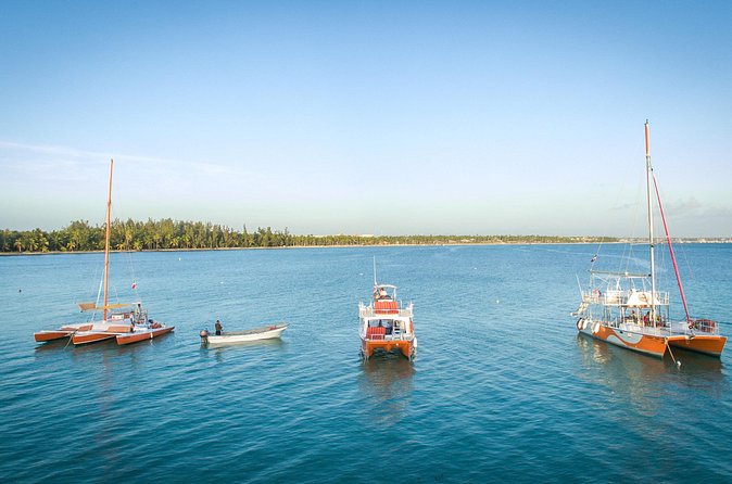 Small-Group Cruising and Snorkeling Catamaran Tour - Is $99 a fair price?