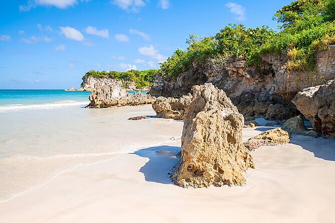 Small Group: Half-Day Cultural Tour of Punta Cana - A quick route from resort comfort to real Dominican life