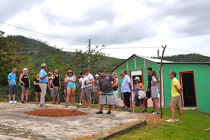 Small Group: Half-Day Cultural Tour of Punta Cana - Dominican buffet lunch is a real advantage at $79