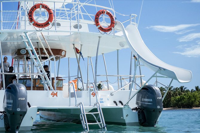 Small Group Snorkeling Cruise with Open Bar and Light Snacks - What to bring and how to plan the day