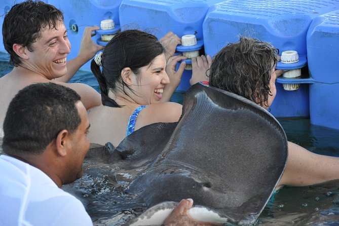 Small Group Snorkeling, Sharks & Stingrays Encounter by boat - Weather, timing, and practical preparation