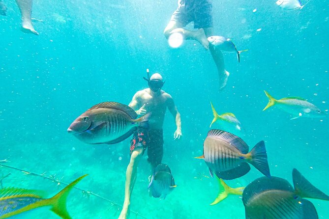 Snorkel Lovers for All Ages & Premium Seafood Lunch in Punta Cana - Second stop: the protected coral nursery