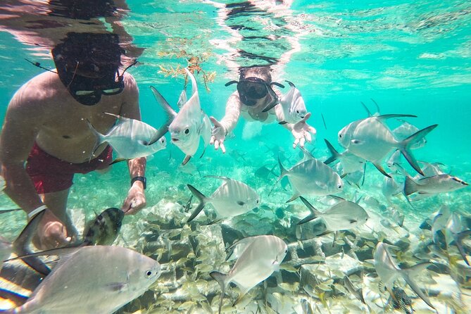 Snorkel Lovers for All Ages & Premium Seafood Lunch in Punta Cana - Drinks, music, and time on the boat