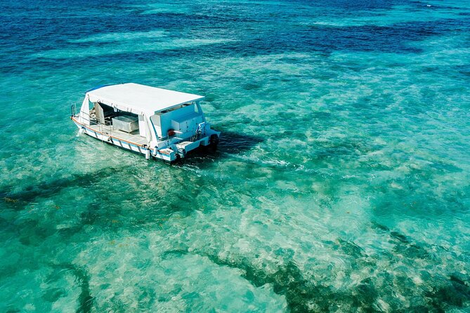 Snorkeling and Swimming on a Caribbean Cruise by Sharky Catamarans - A seafood lunch served on the water