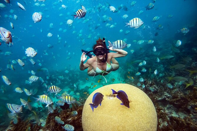 Snorkeling and Swimming on a Caribbean Cruise by Sharky Catamarans - What to bring and how to prepare
