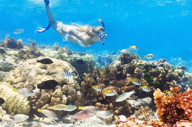 Snuba Snorkelking Parasailing and Catamaran Pack - Is $160 a fair price for the day?