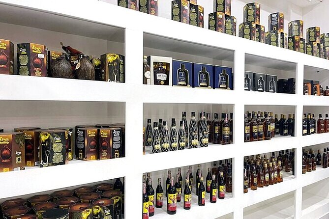 Souvenir Shopping Tour in Punta Cana Pickup Included - How much help will your guide provide?