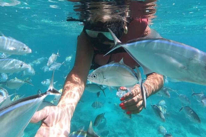 Speed Boat and Snorkeling in Punta Cana Bavaro - Who will enjoy this outing most