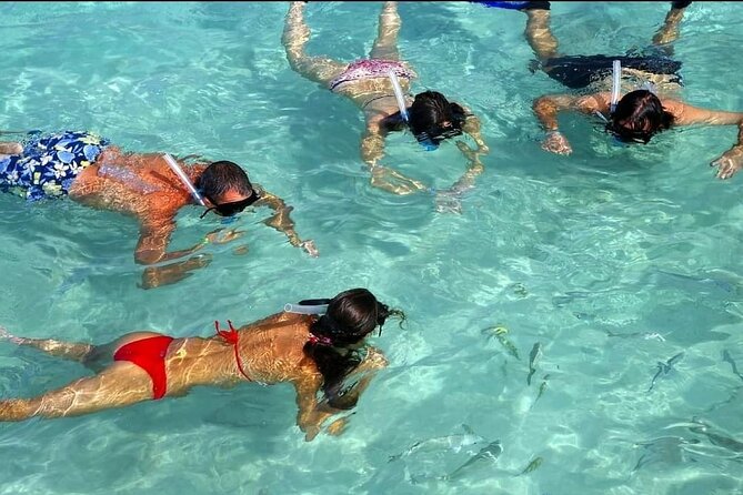 Speed Boat Ride and Snorkel Experience in Punta Cana - Weather, cancellation, and what to bring