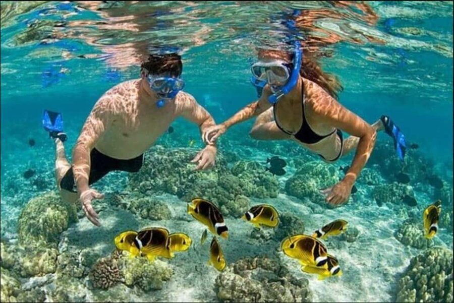 Speedboat Adventure and Snorkeling from Punta Cana - What the two-hour timing means