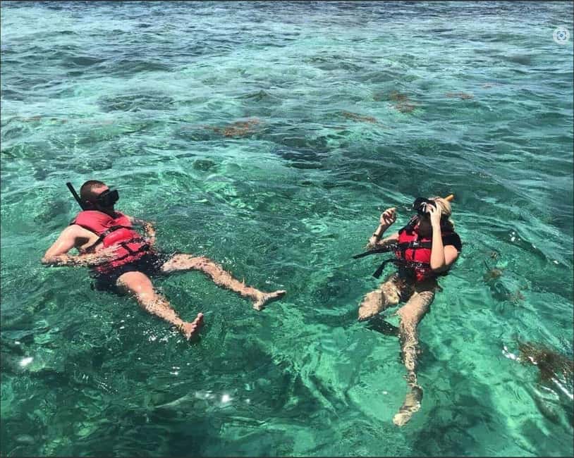 Speedboat Adventure and Snorkeling from Punta Cana - How the $80 price measures up
