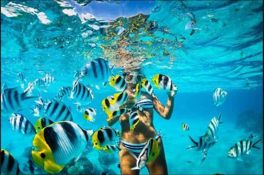 Speedboat Adventure and Snorkeling from Punta Cana - The experience in one honest picture