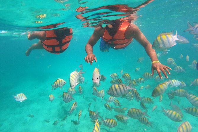 Speedboat Adventure to Snorkeling Spot and Natural Pool - Why the small group matters