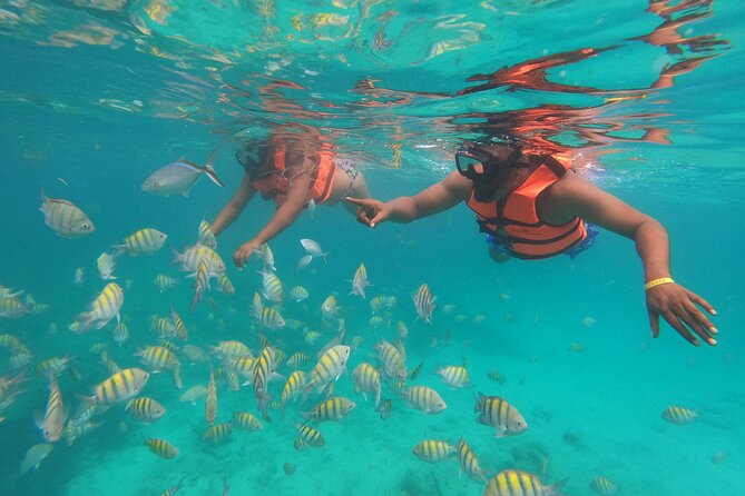 Speedboat Adventure to Snorkeling Spot and Natural Pool - What the $73 price covers