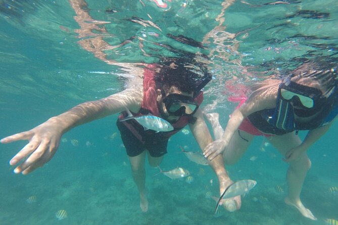 Speedboat Sailing with Snorkeling Experience in Punta Cana - Who Will Enjoy This Punta Cana Activity?