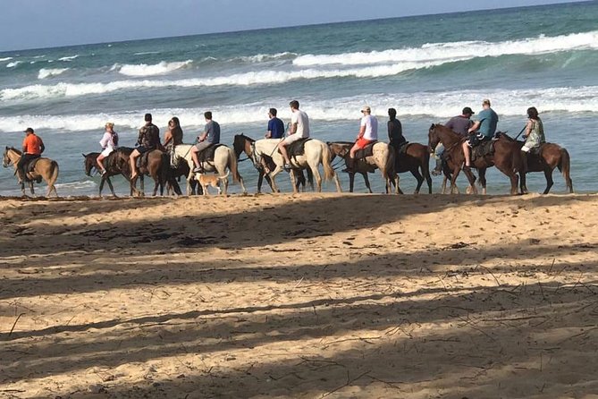 Sunset beach horsebackriding Punta Cana - Key points to know before you book