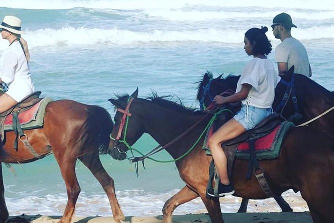 Sunset beach horsebackriding Punta Cana - What the Punta Cana horseback ride is really like