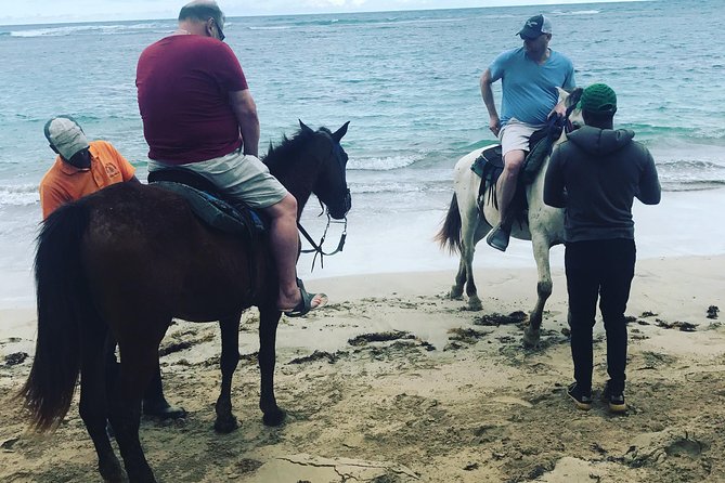 Sunset beach horsebackriding Punta Cana - Safety, pace, and riding ability