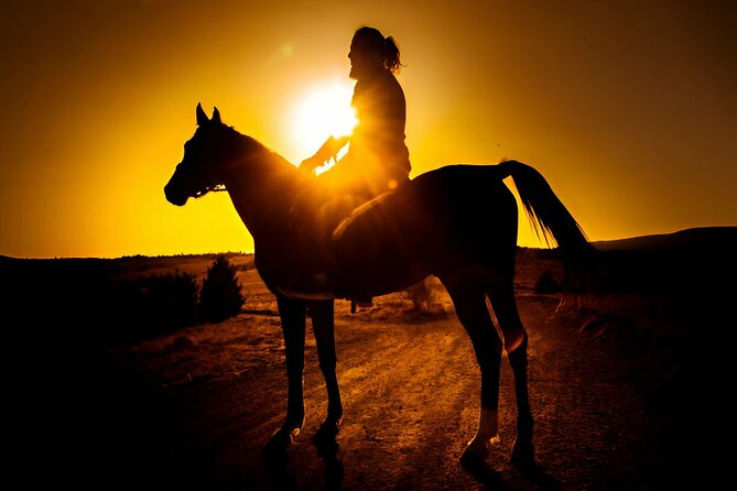 Sunset Horseback Ride at Macao Beach & Forest with Transfers - What the $61 price really covers