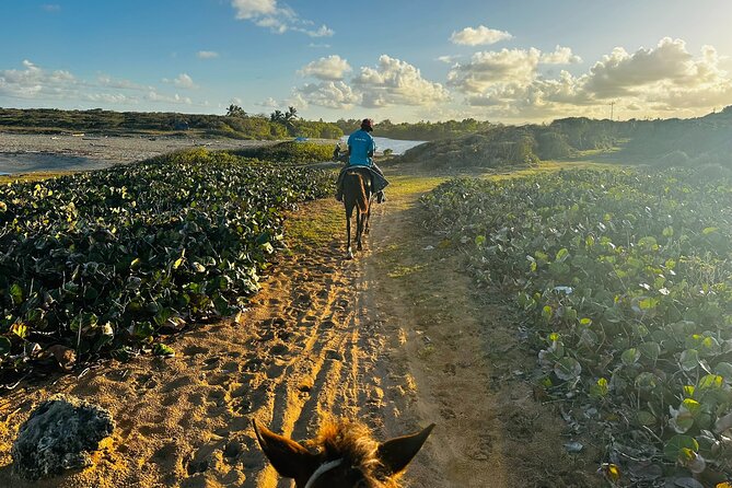 Sunset Horseback Ride at Macao Beach & Forest with Transfers - The 15-minute stop at World Mart Souvenirs