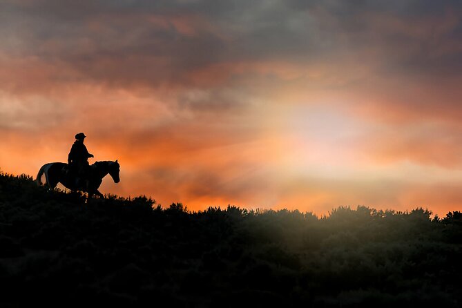 Sunset Horseback Ride at Macao Beach & Forest with Transfers - Guides, languages, and group size