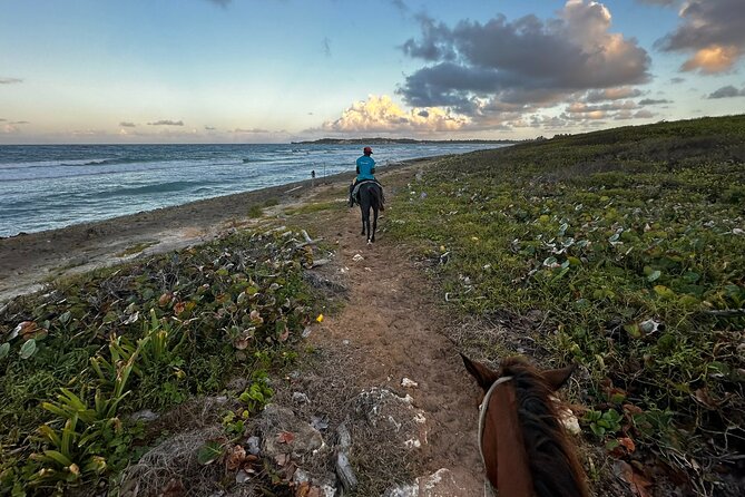 Sunset Horseback Ride at Macao Beach & Forest with Transfers - Who will enjoy this ride most