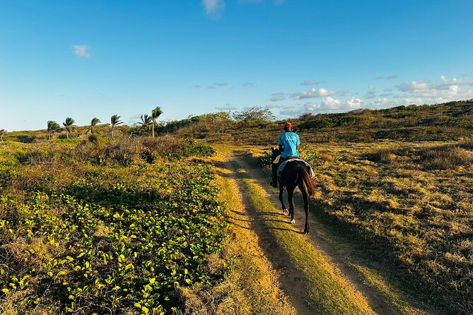 Sunset Horseback Ride at Macao Beach & Forest with Transfers - The 4:30 p.m. start and the sunset plan