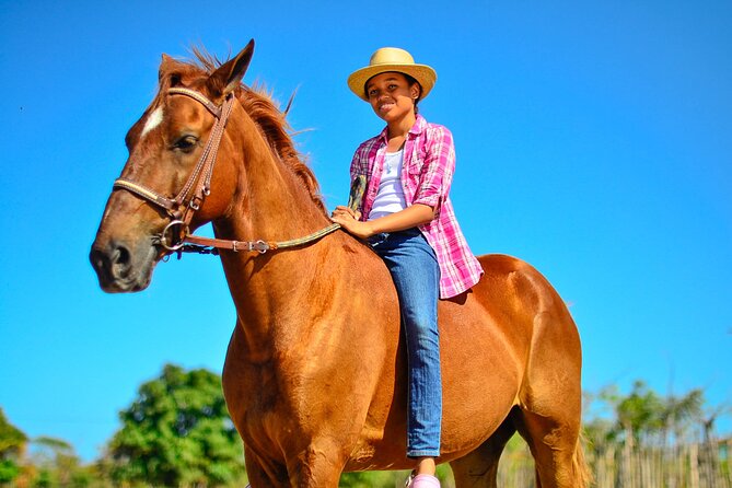 Sunset Horseback Riding Tour in Punta Cana (Private Option) - Getting comfortable with your horse